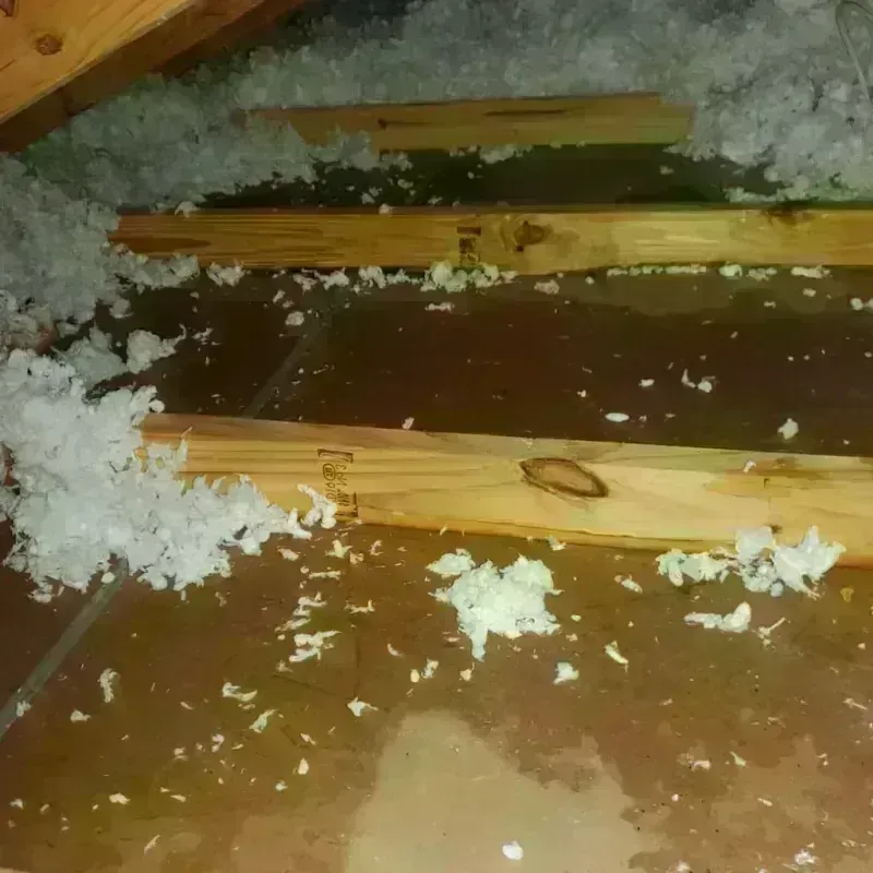 Attic Water Damage in Cacao, PR